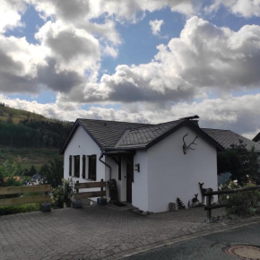 Jagdhaus Holtebock Winterberg